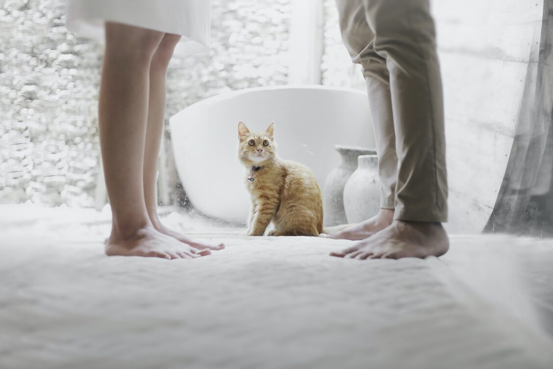 A cat sitting on the floor of a bathroom next to two people.